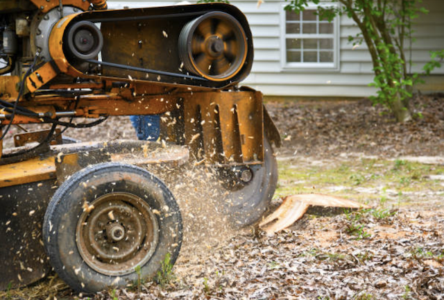 stump grinding king wa
